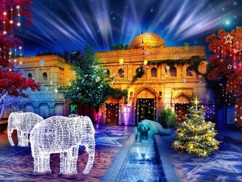 Zoo beleuchtet