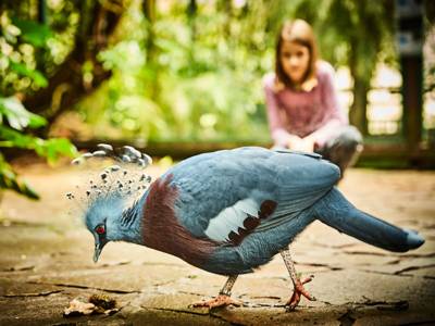 Einer von 4000 Vögeln aus über 650 Arten im Weltvogelpark 