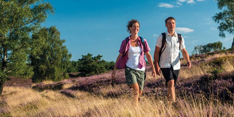 Wandern Lüneburger Heide 
