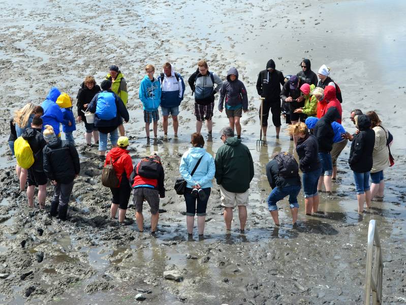 Wattwanderung in Upleward 