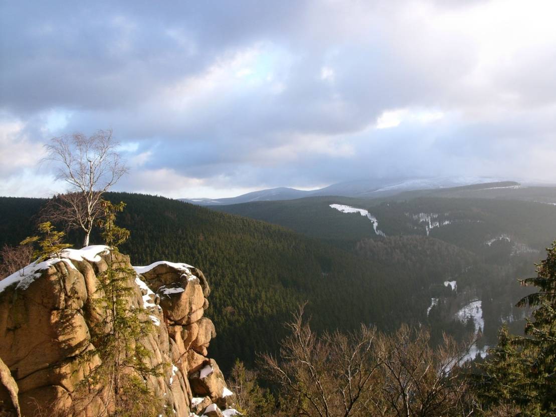 Harz