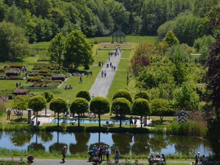 Schloss Ippenburg Garten