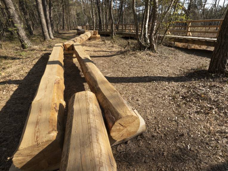 Entrindete und auf einer Seite gehobelte Stämme