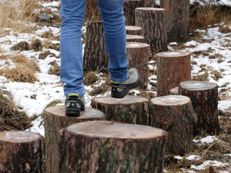 Holzklötze im Moor, auf denen eine Person, den feuchten Untergrund überquert