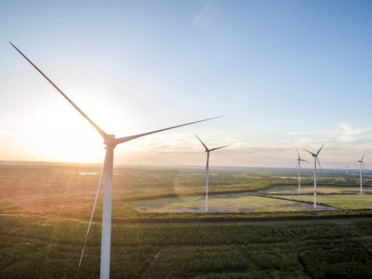 Teil des enercity-Windparks in Klettwitz.