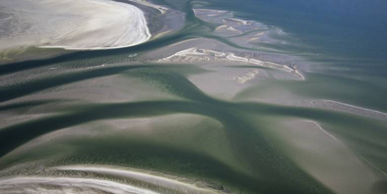 Wattlandschaft