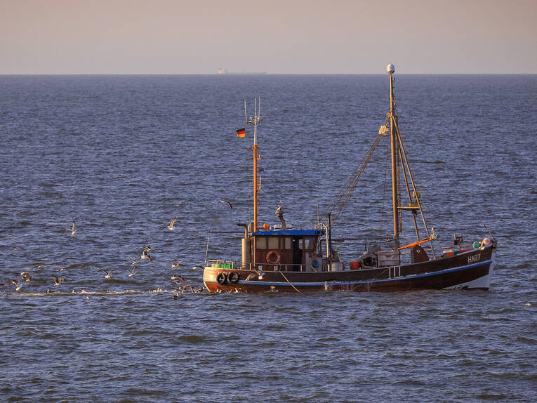 Crab fisheries at Wangerooge Crab fisheries at Wangerooge